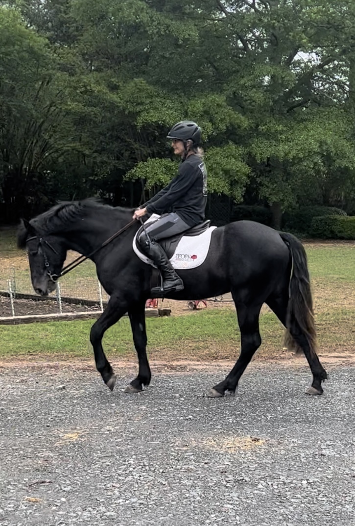 Oliver under saddle